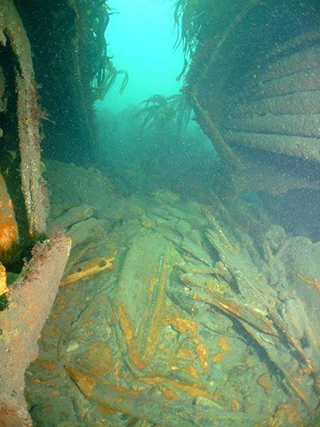 Underwater off the coast