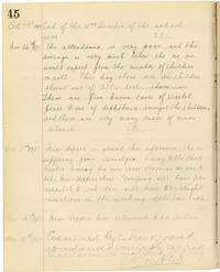 Page 45